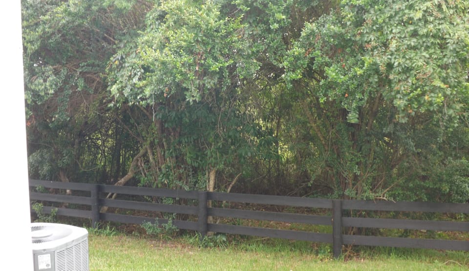 Private Back Yard