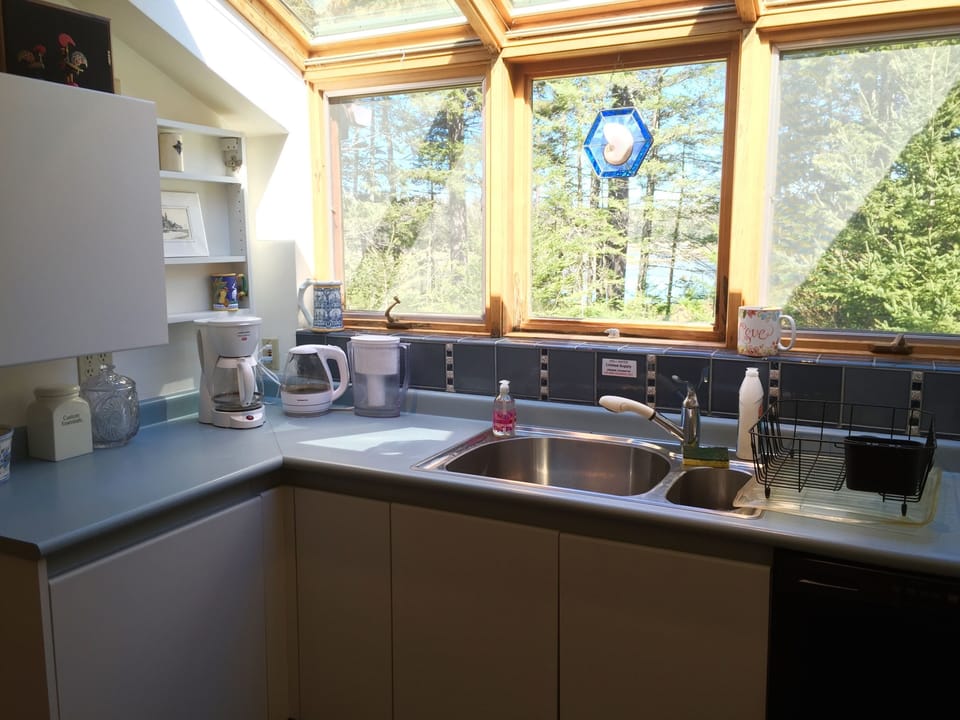 Sink area with windows overlooking woods and water