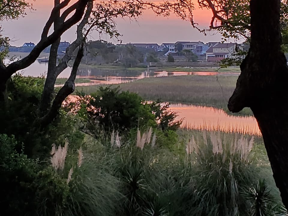 The marsh at sunrise from Mace House porch