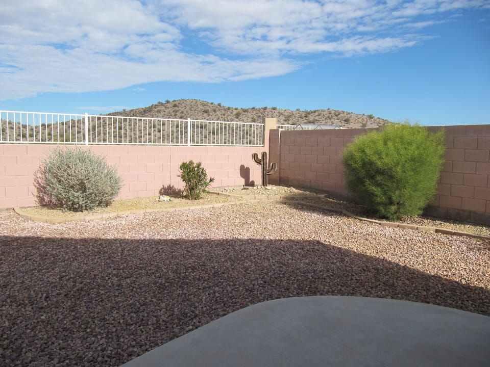 View of backyard