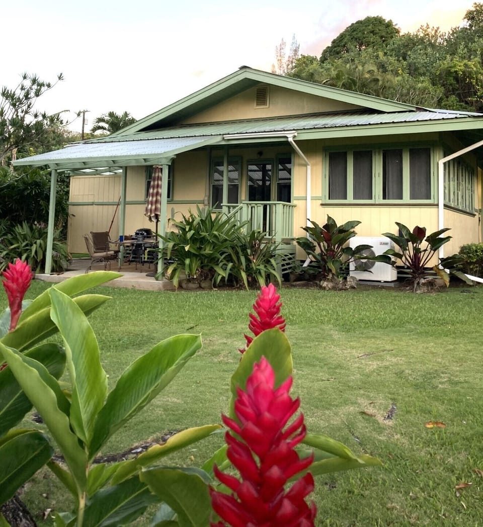 Cottage from backyard