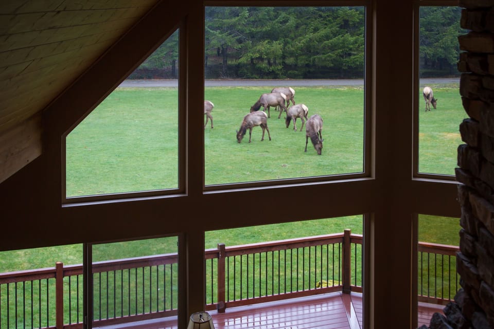 Morning view from the loft