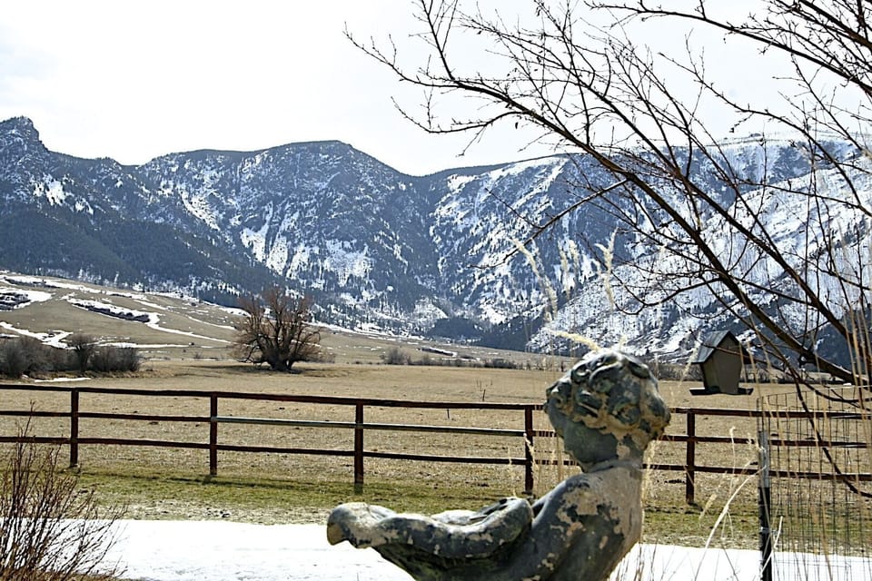 Early spring view from the Kitchen Patio ~ no need to worry the green will come