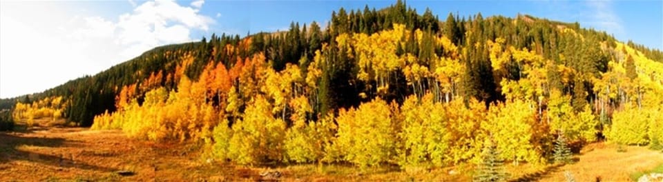 View from the back deck in the fall.