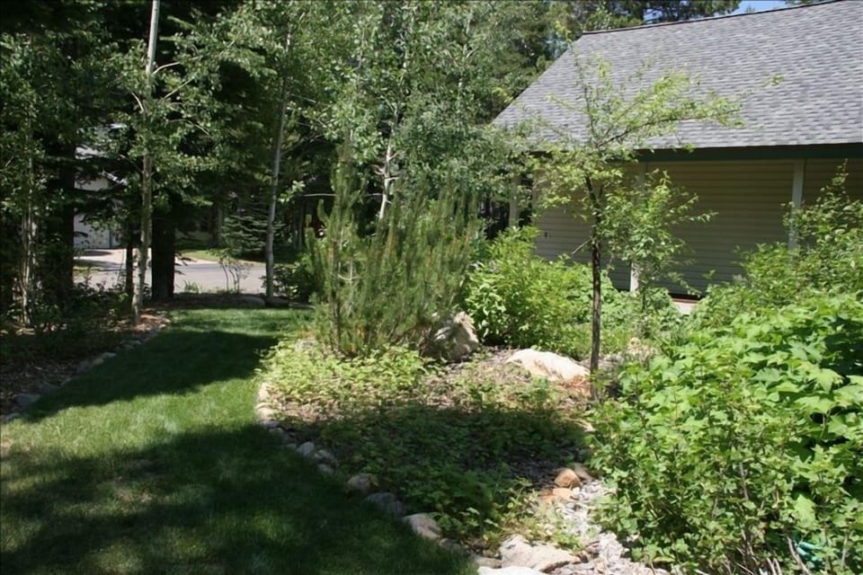 Side Yard