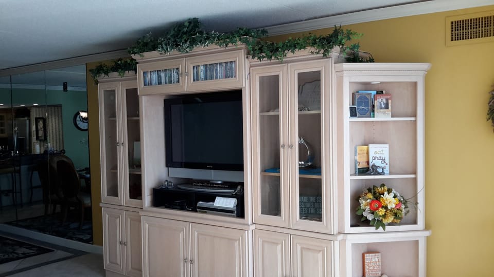 Living room entertainment center