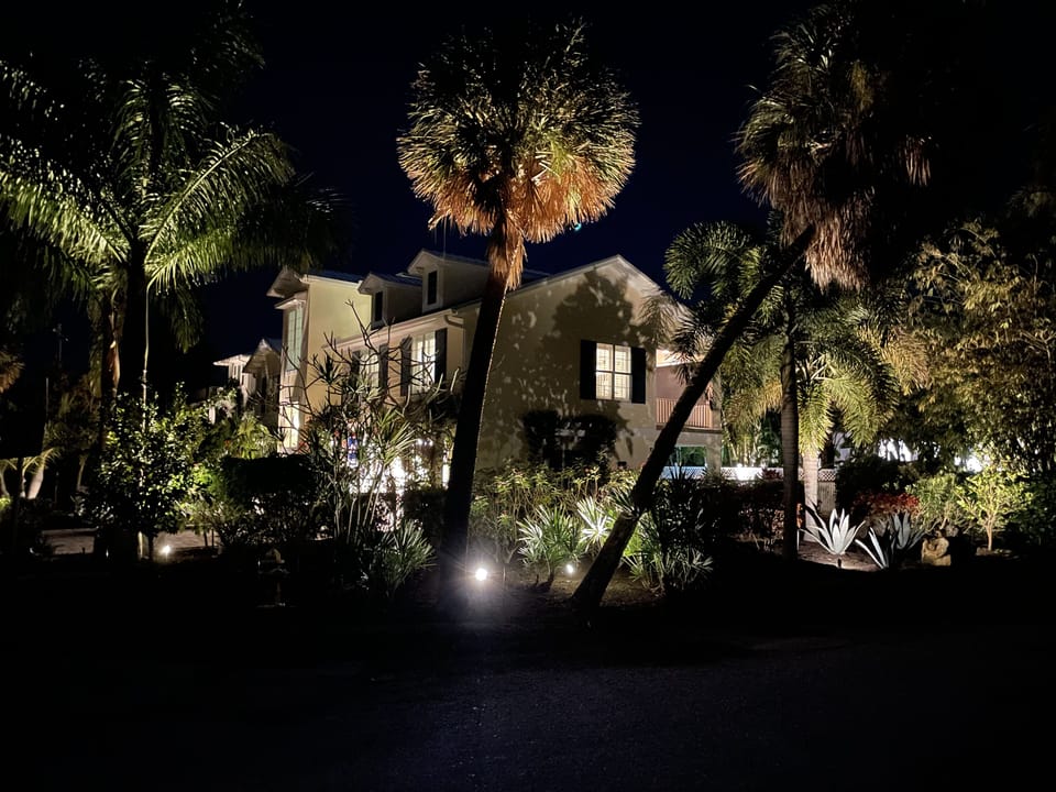 nightime view