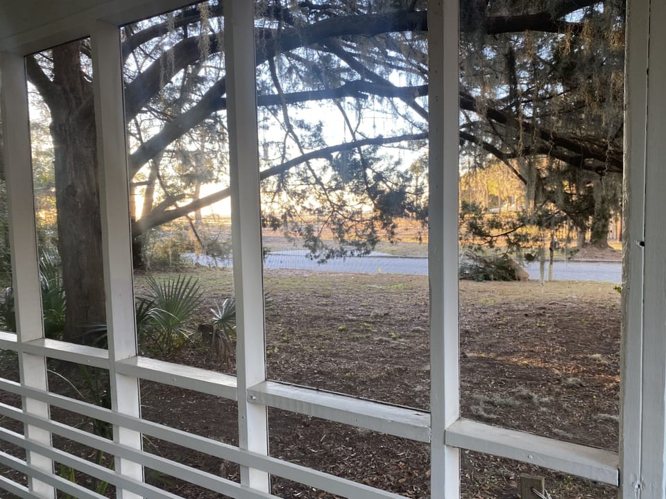 View from screened porch through cypress trees toward marsh and Wassaw Island.
