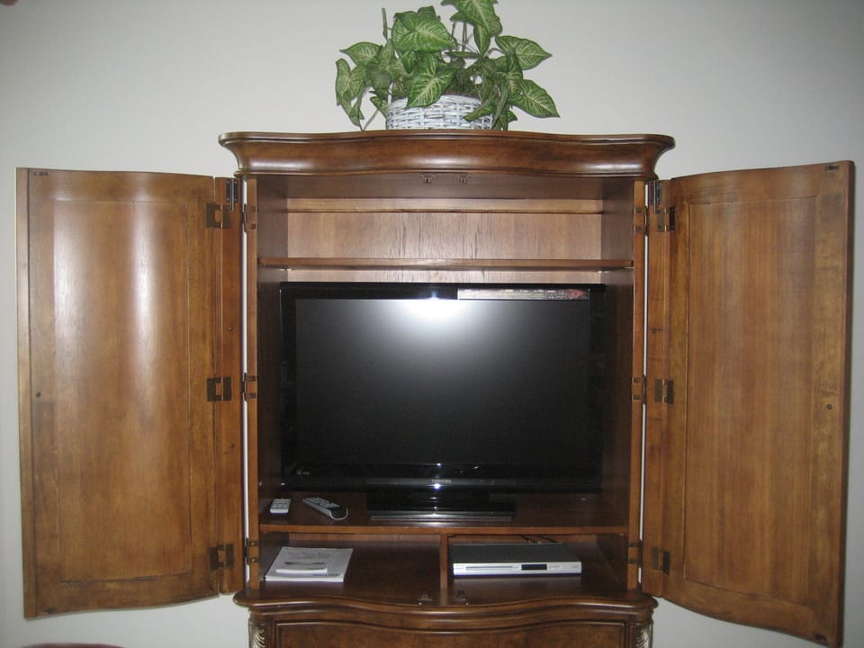 Television