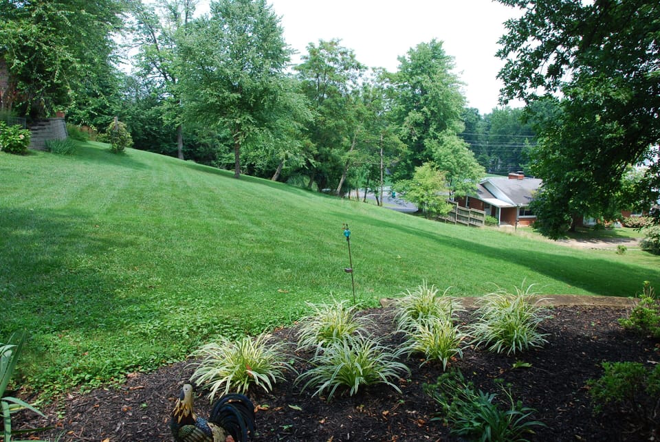 View of side yard from porch of Americas Barn