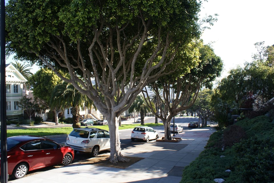 Along Dolores Street.