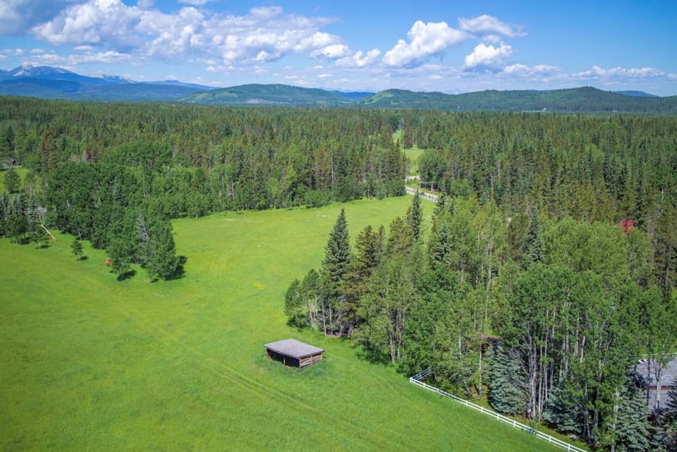 Ariel photo of the pasture
