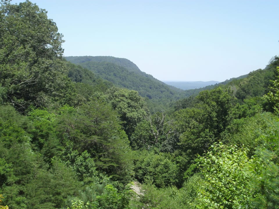 The view from the overlook bench, shared area 