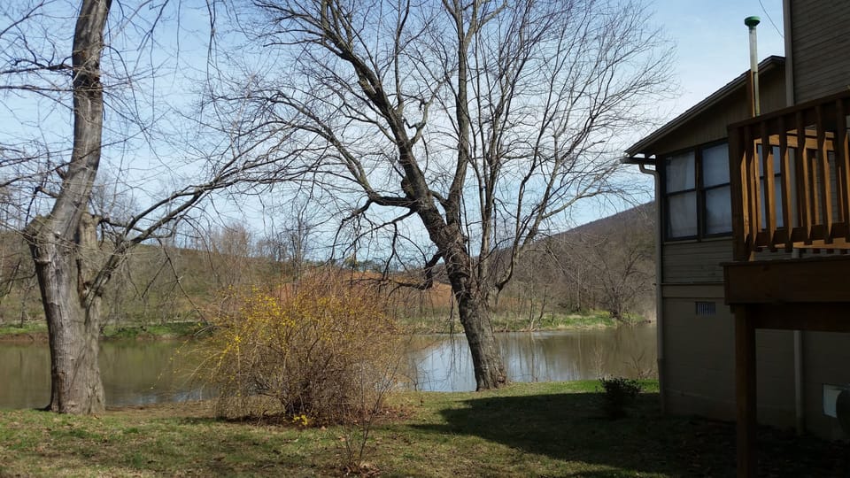 Side yard and river view