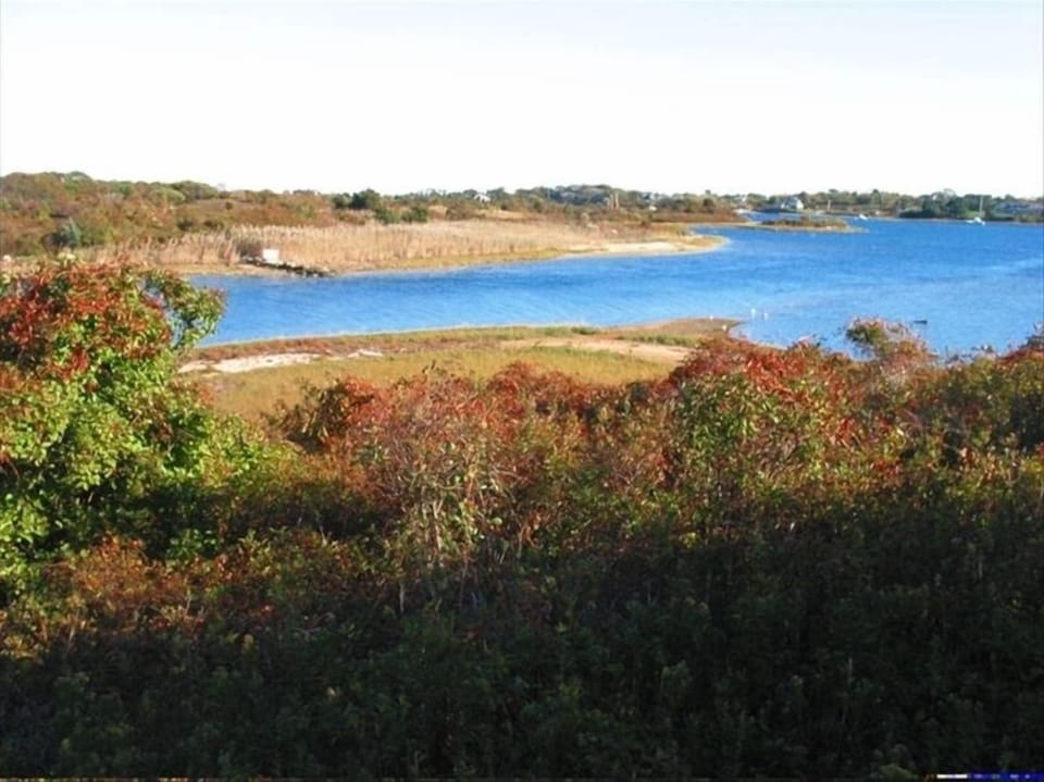 The water is deep blue in the fall. The berries turn red.