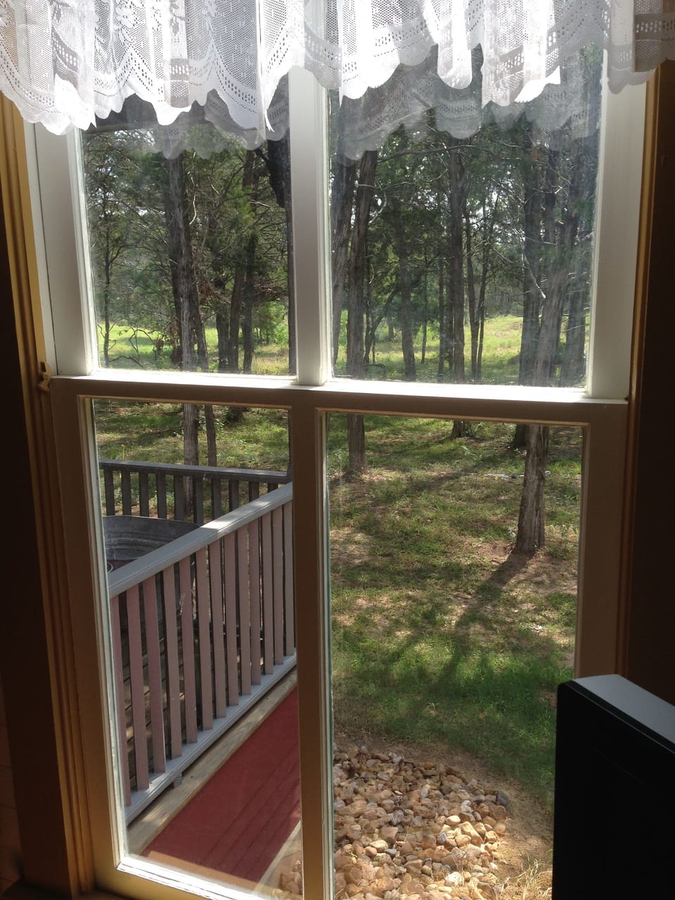 view looking out from the living room - trees and pond