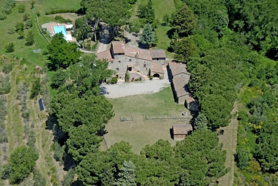 View from the sky