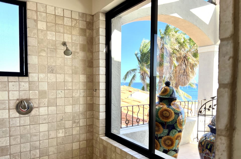 Master shower view 