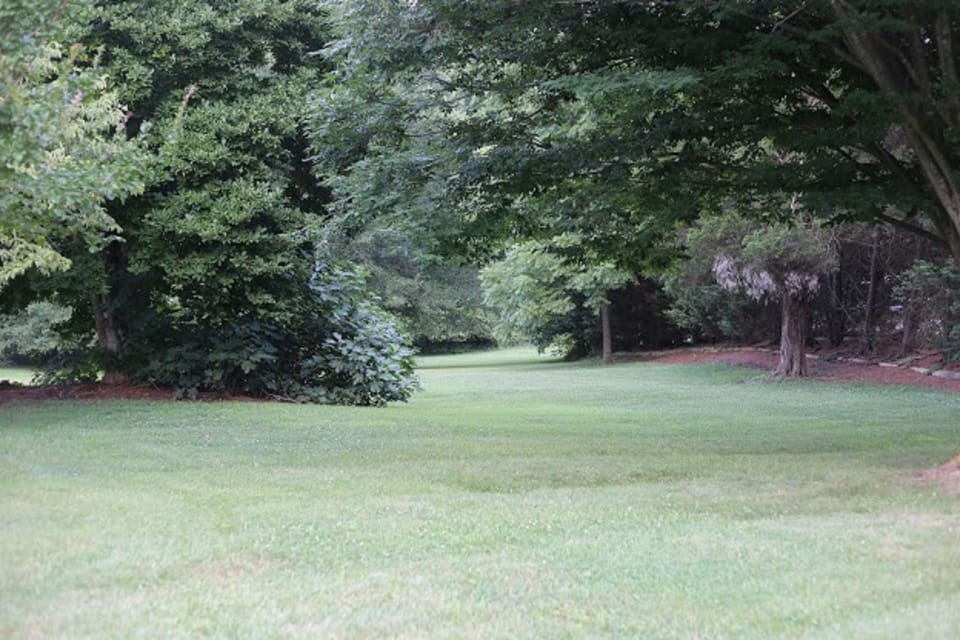 Side Yard