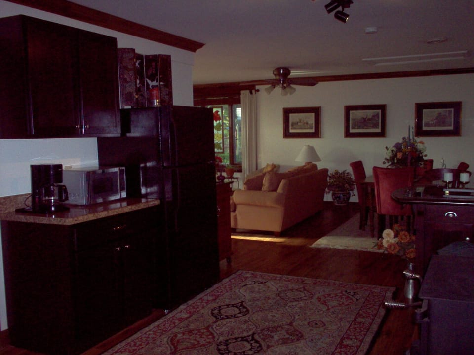 Kitchen view of living area
