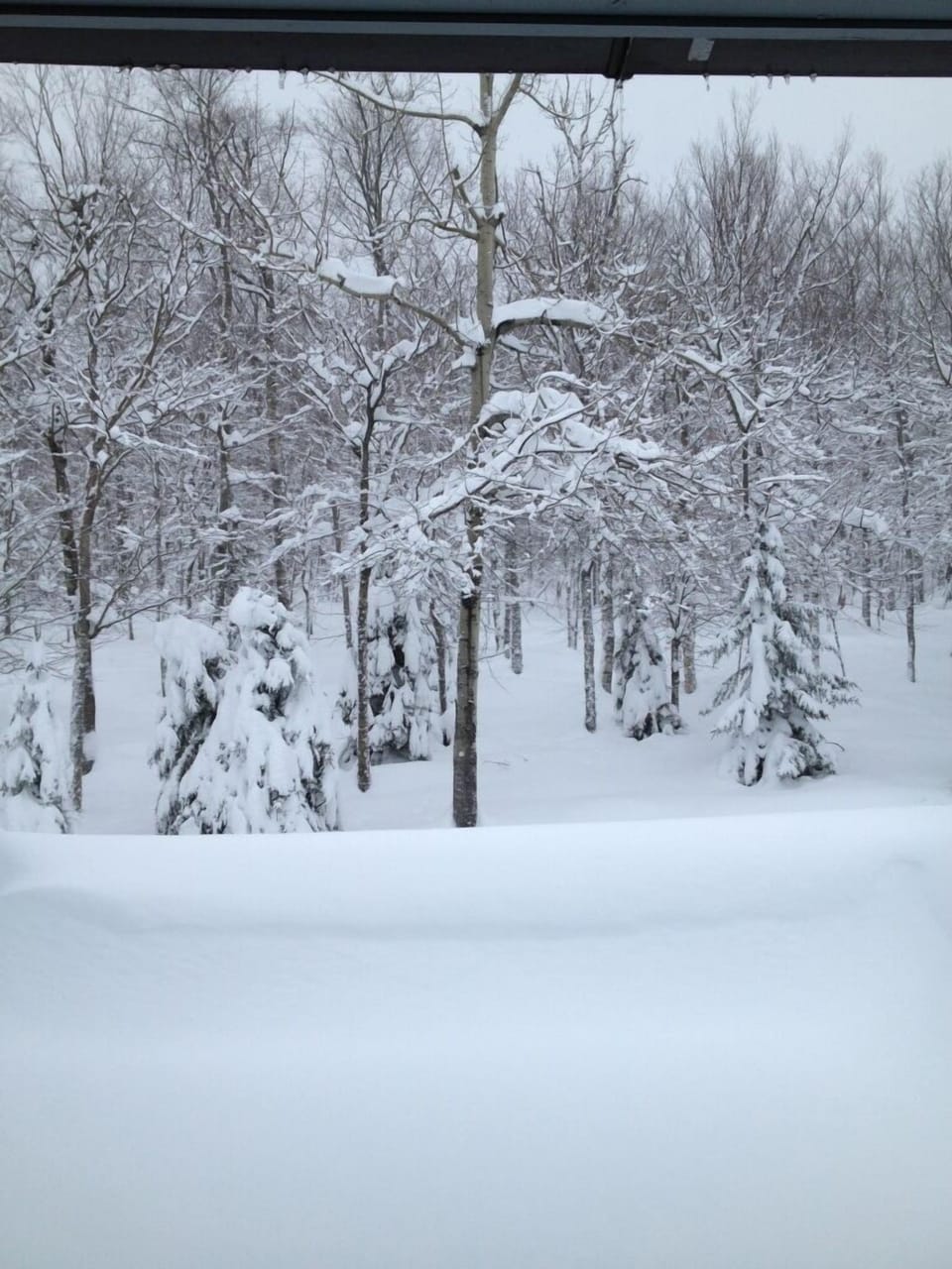 View of/from Deck Dec 2012. 3rd Floor.