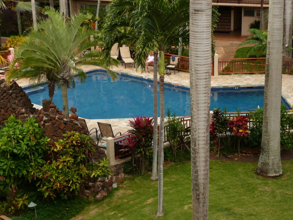 Private Pool for guests only
