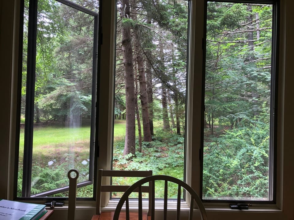 View from dining table
