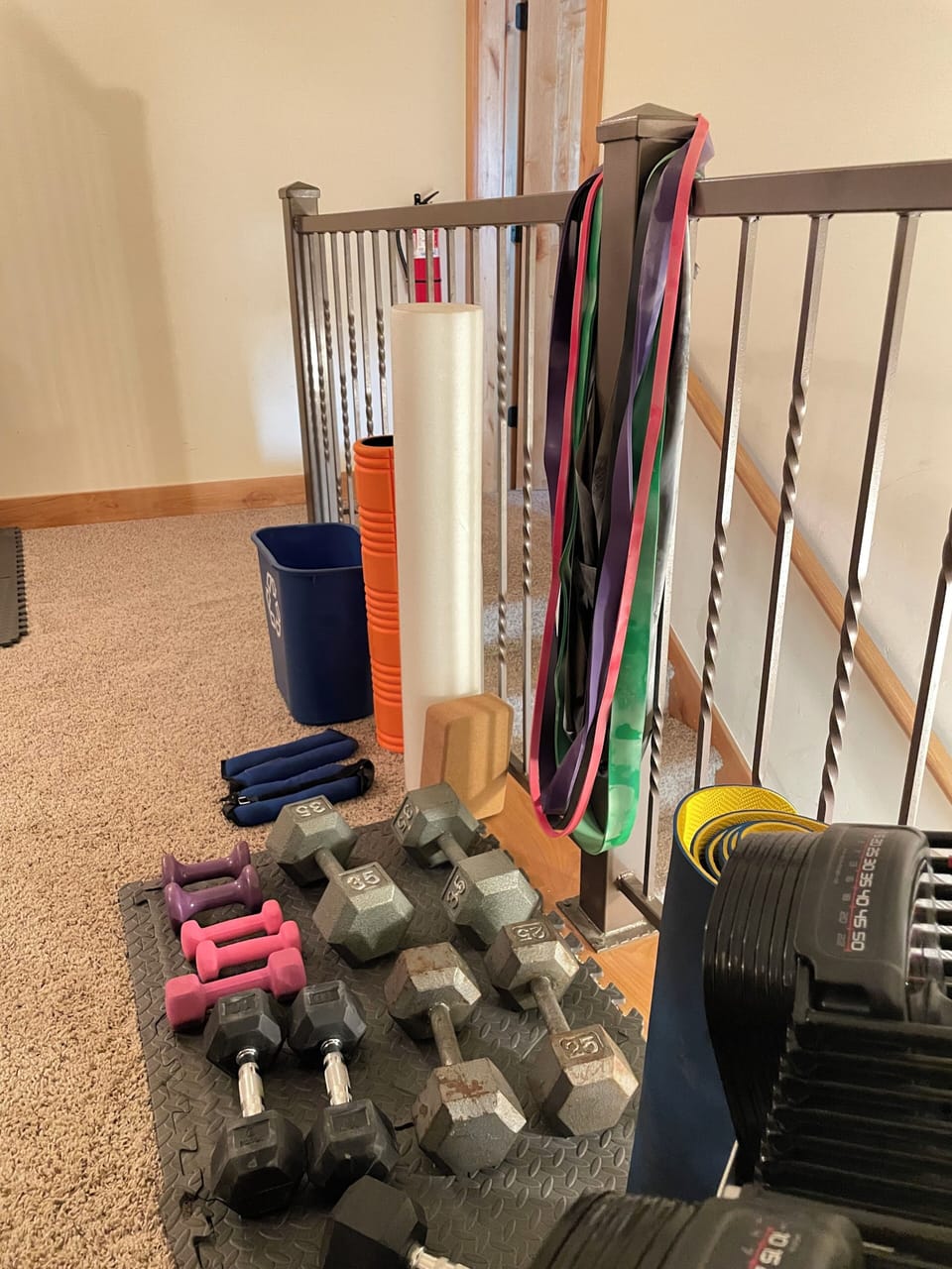 Weights in home gym