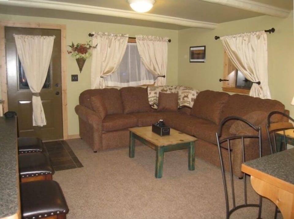 Living area with full sofa sleeper