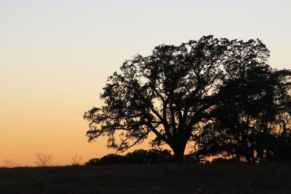 Spectacular sunsets!