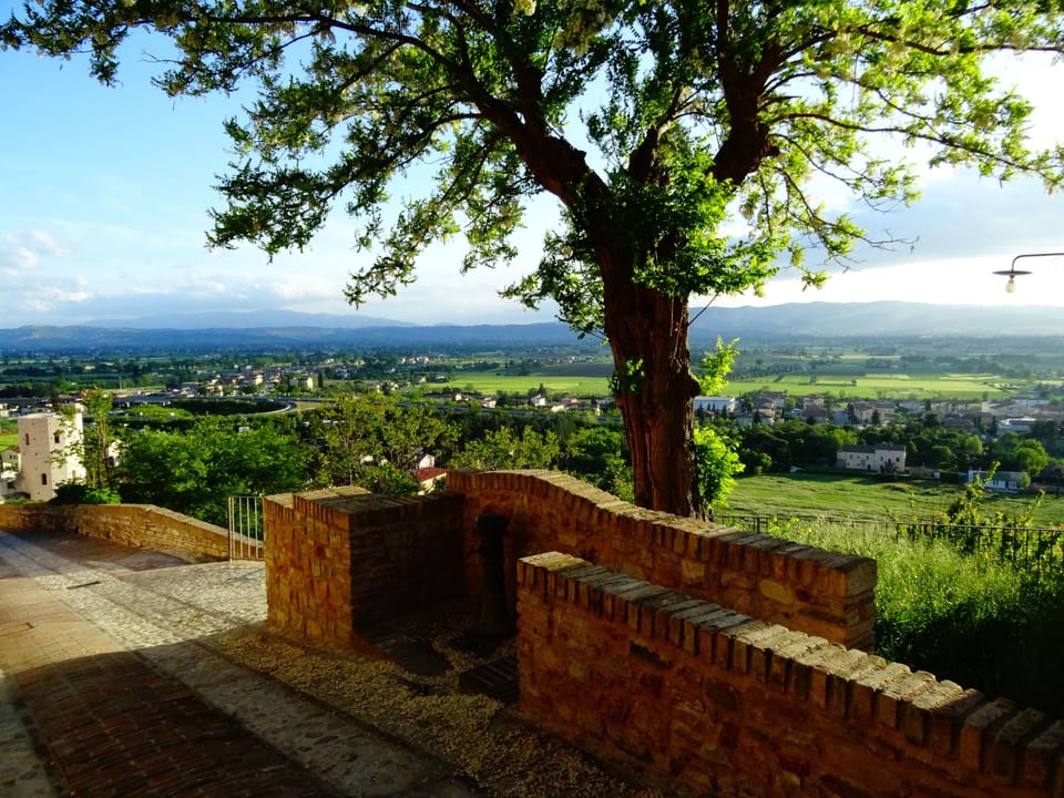 View from private balcony