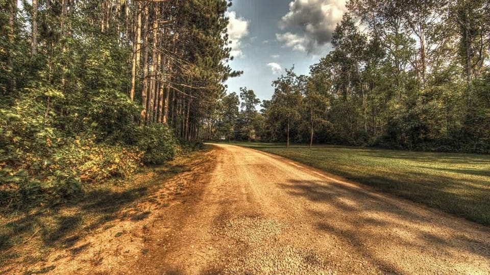 Driveway to the cottage from the main road, just to show how private the property is! 