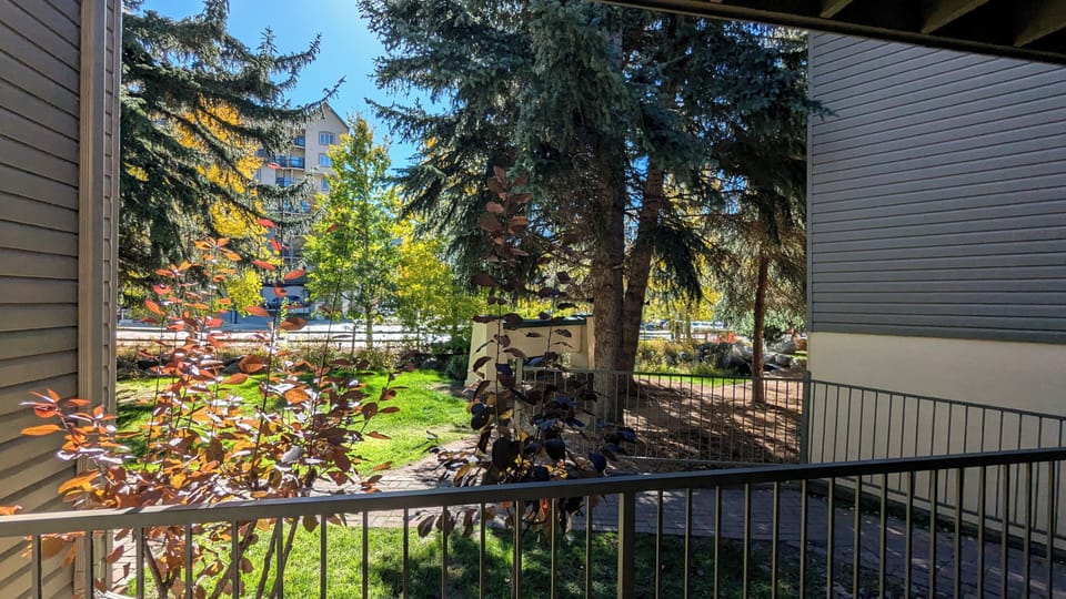 View from patio
