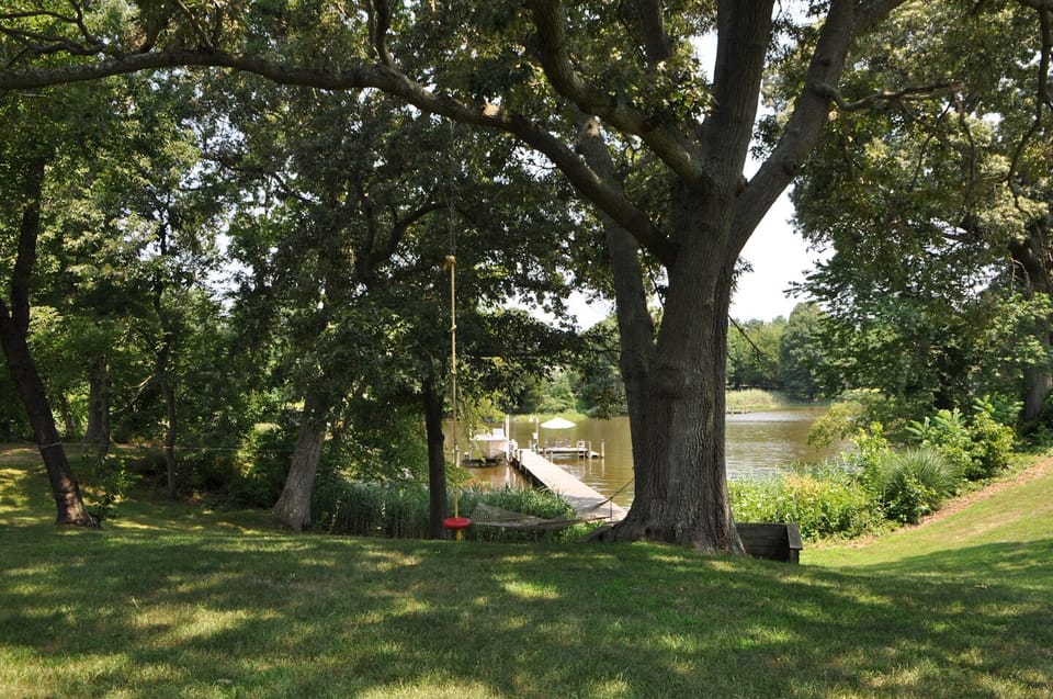 Back yard with rope swing for children