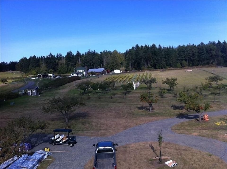 View from roof of Beach House looking back at Farm House, grapes and garden