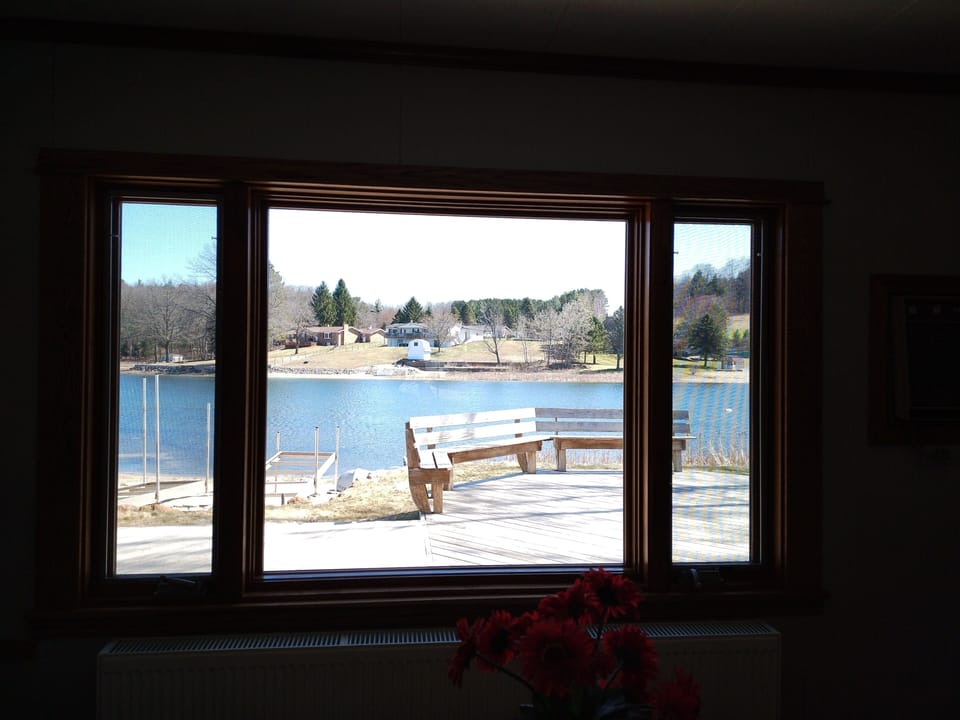 view from dining room window 