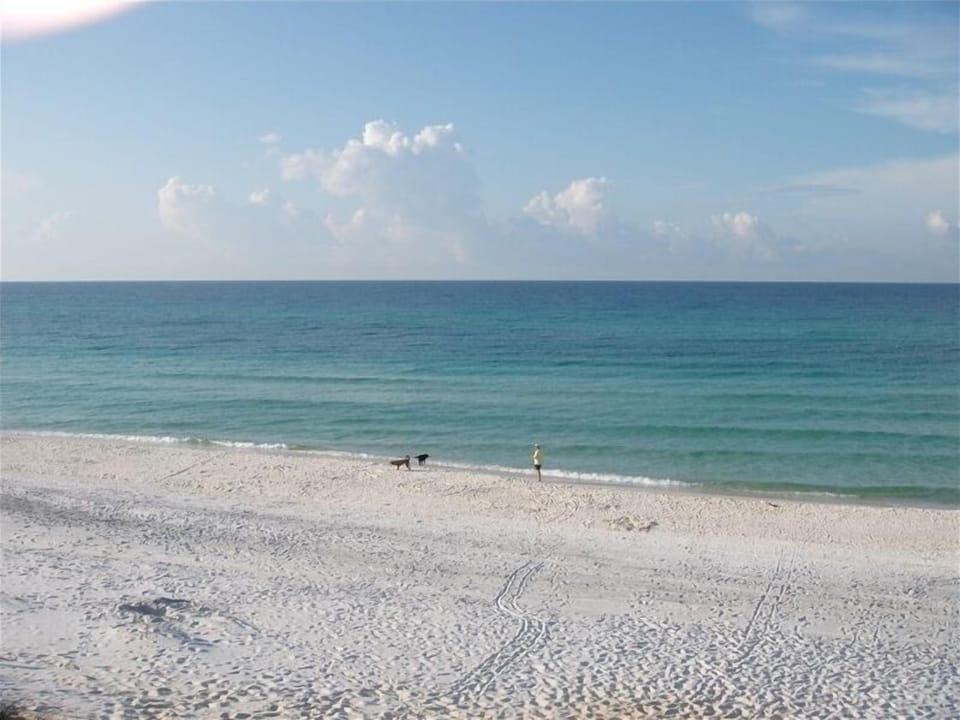Beautiful day at the beach.