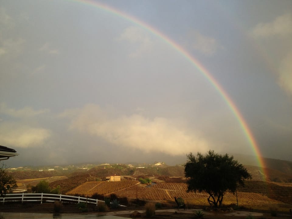 Our lucky day - rainbow right off the porch.