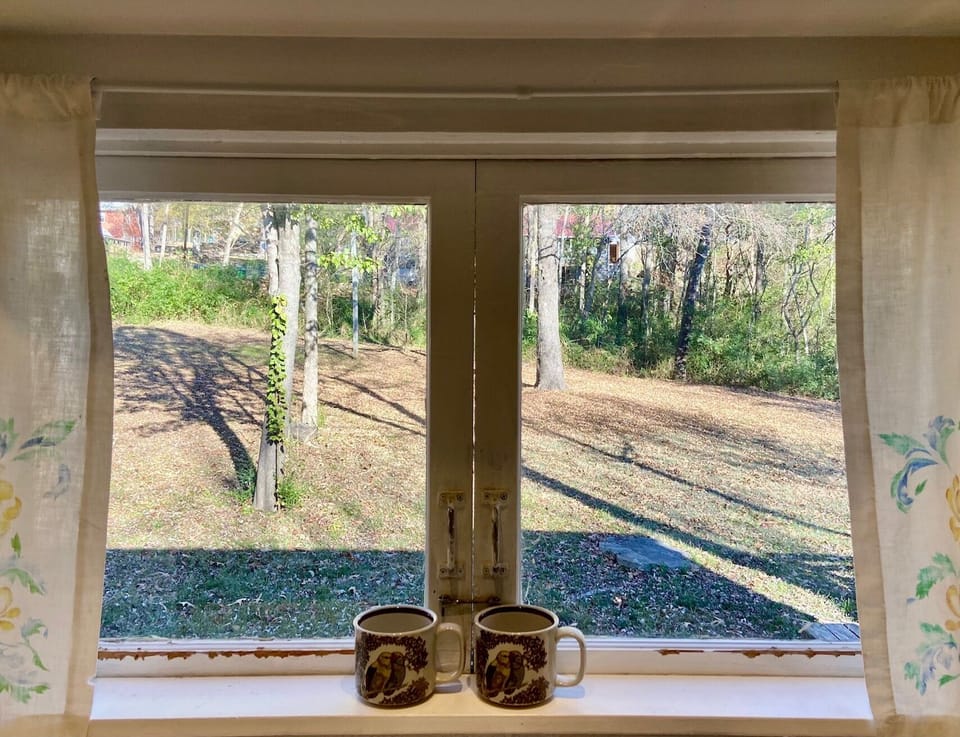 View from the kitchen window