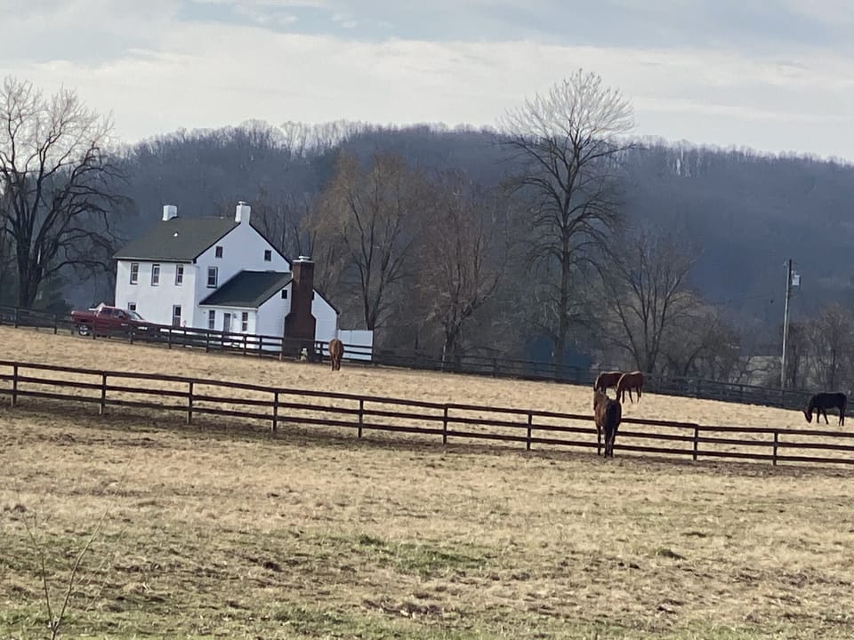 Merrywell in a winter landscape