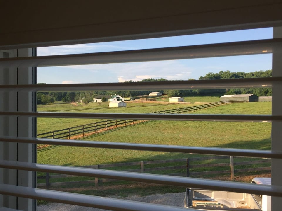 Good morning view out your window. 
