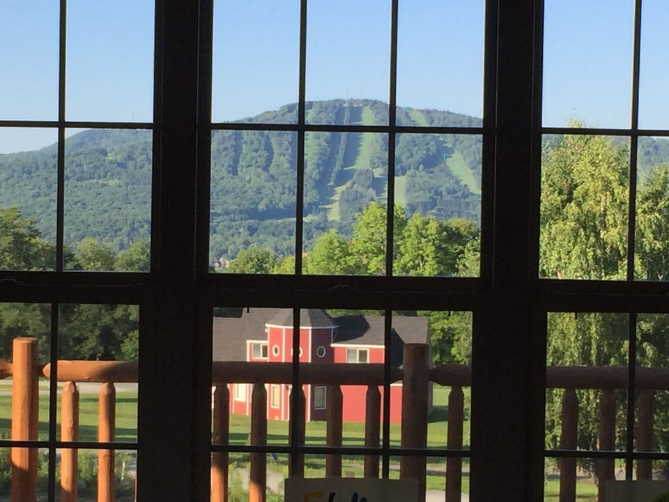 Summer view from living room