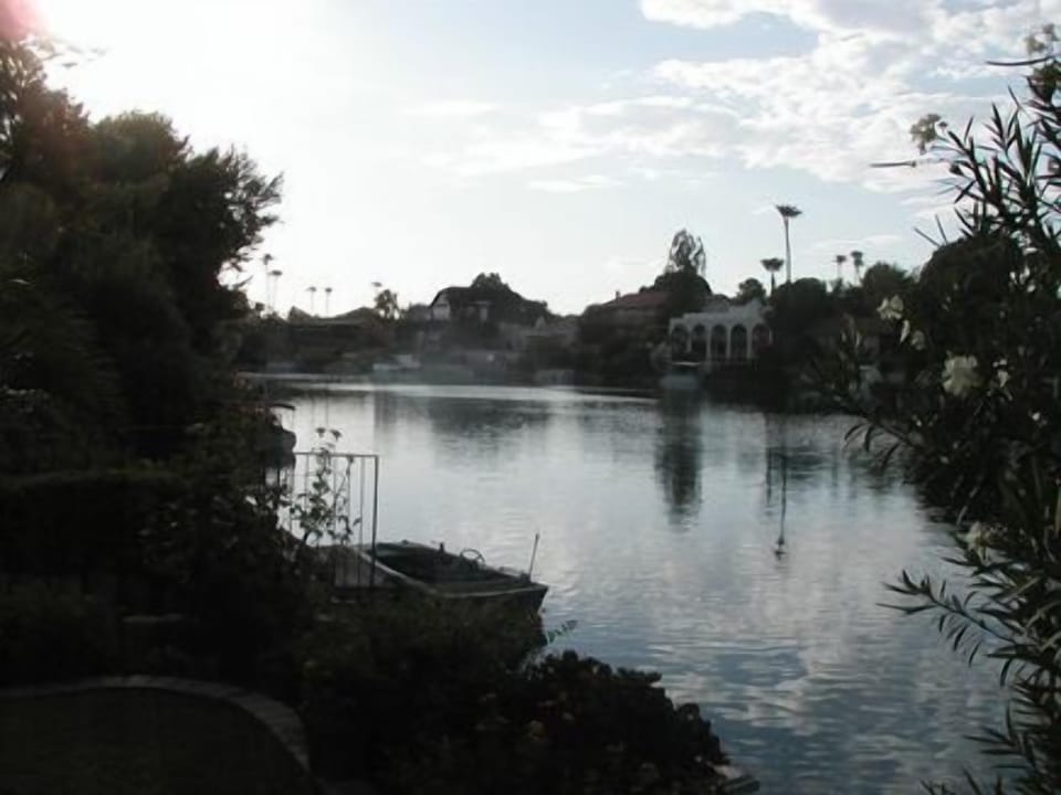 view from back patio