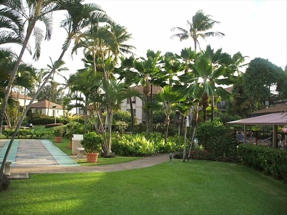 Shuffle board, volleyball, tennis, swimming, beach combing, shopping - heaven!!!