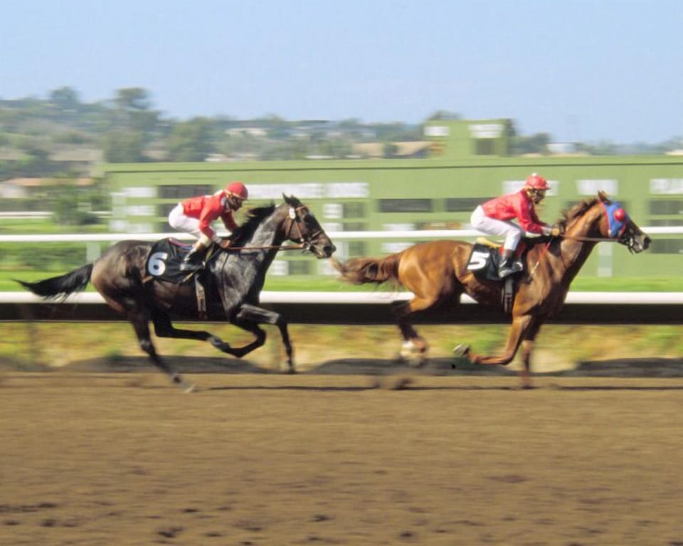 Walking distance to Del Mar Race Track