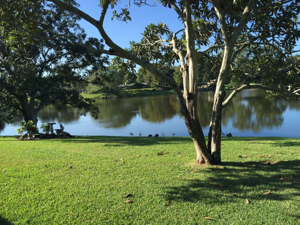 Expansive yard backing onto Lake Saundra