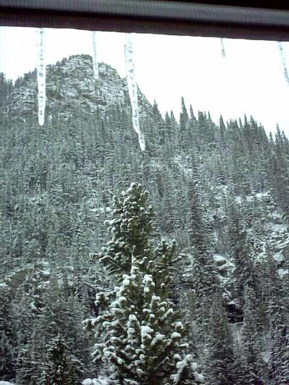 Mount Royal in Winter