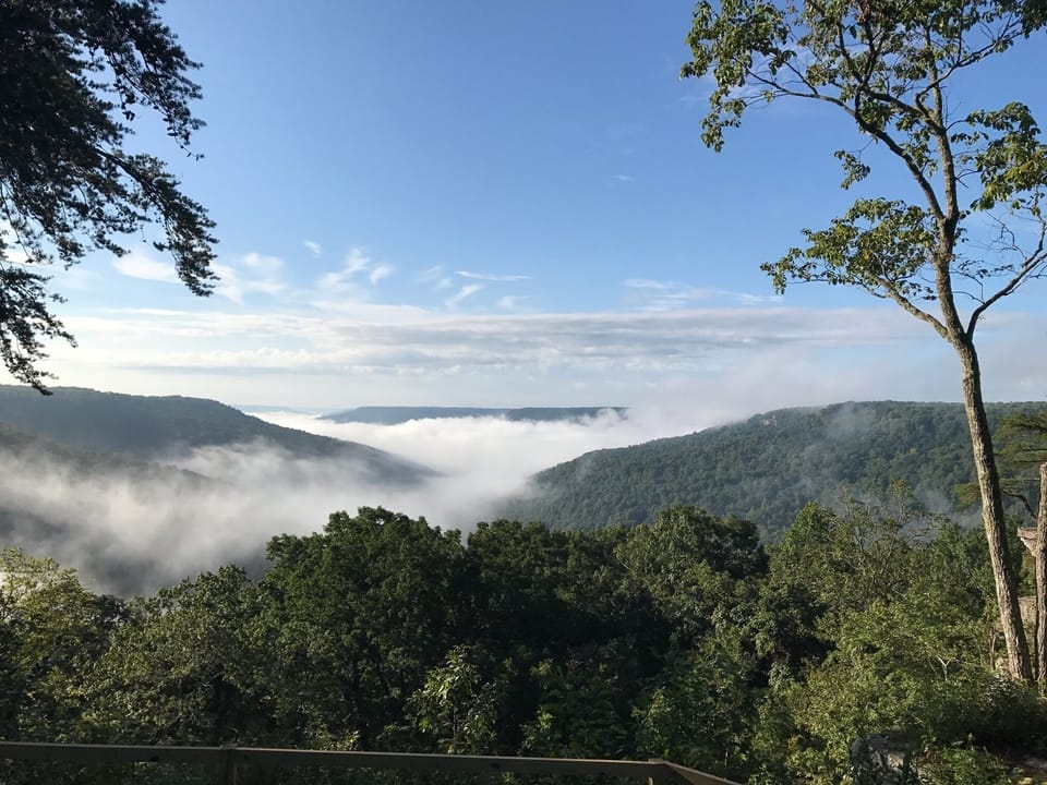 stunning view from the back porch