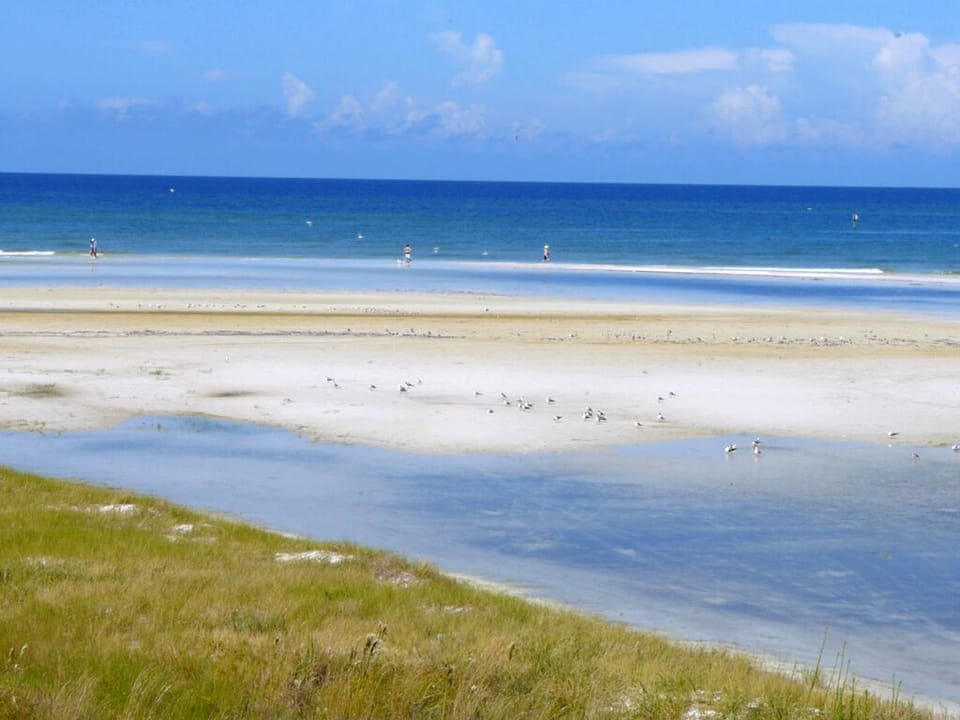 view from kitchen deck