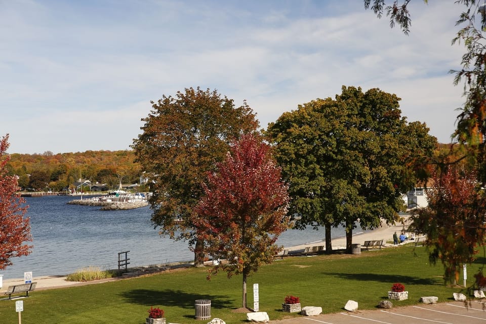 Fall coloration is viewable from our deck